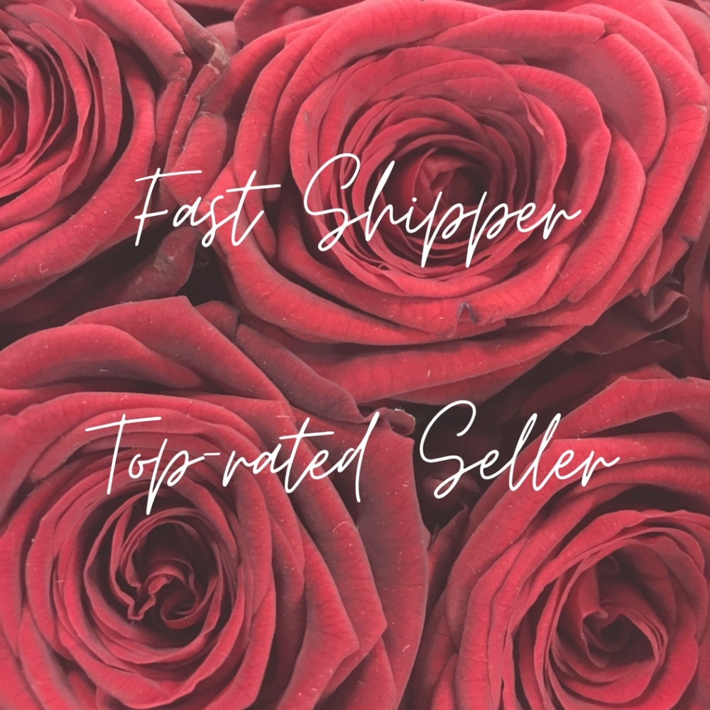 Fast Shipper & Top-rated Seller